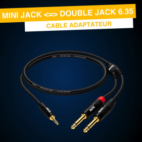 Cable Mini Jack vers Double...