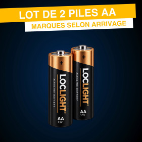 Lot de 2 piles AA pour micros