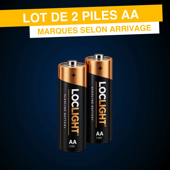 Lot de 2 piles AA pour micros