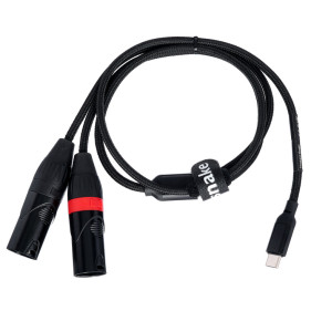 Câble adaptateur USB-C vers 2 XLR mâles 90 cm